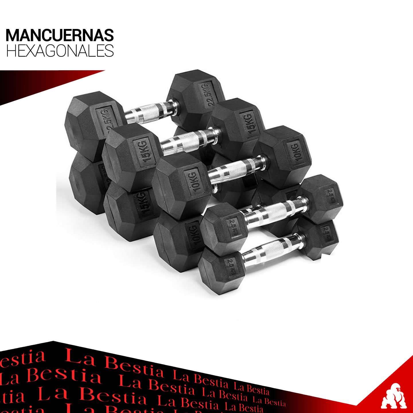 TH30 Set Mancuernas Hexagonales 2- 30Kg + Rack «