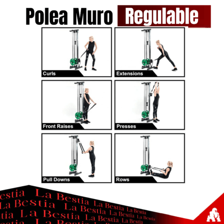 Polea de Muro Regulable - Imagen 8