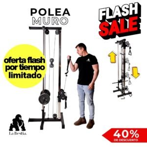 Polea de Muro Regulable