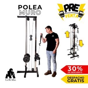 Polea de Muro Regulable (PREVENTA)