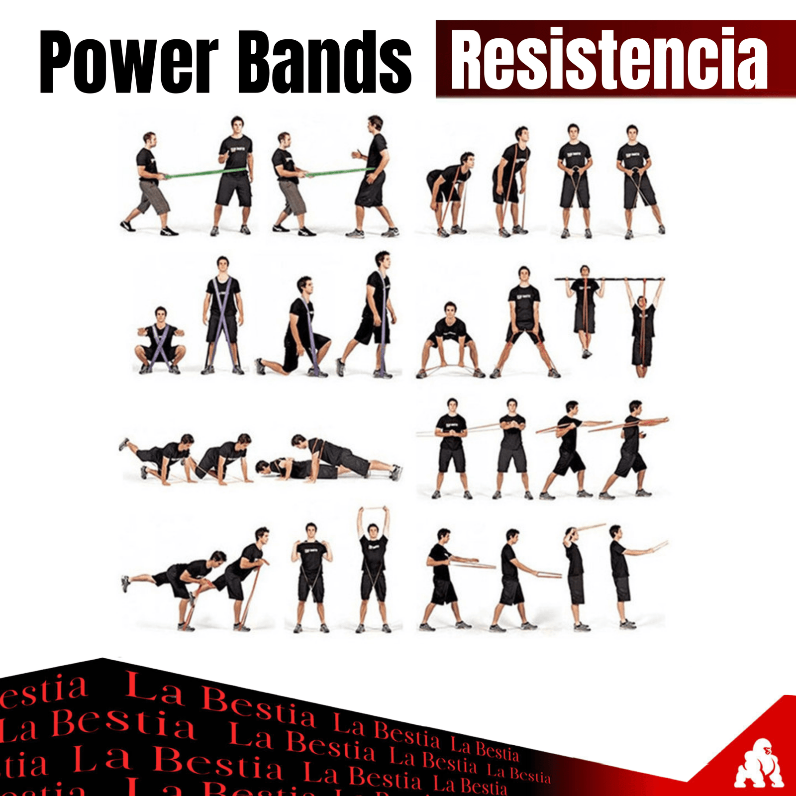 Bandas Elásticas de Resistencia - La Bestia