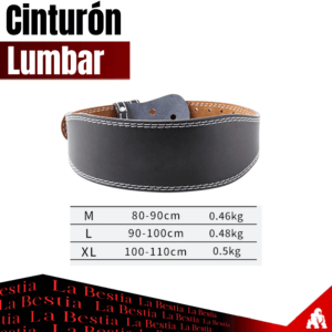 Cinturón Lumbar