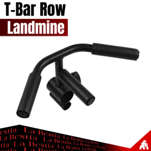 Landmine T-Bar Row Doble (Preventa)