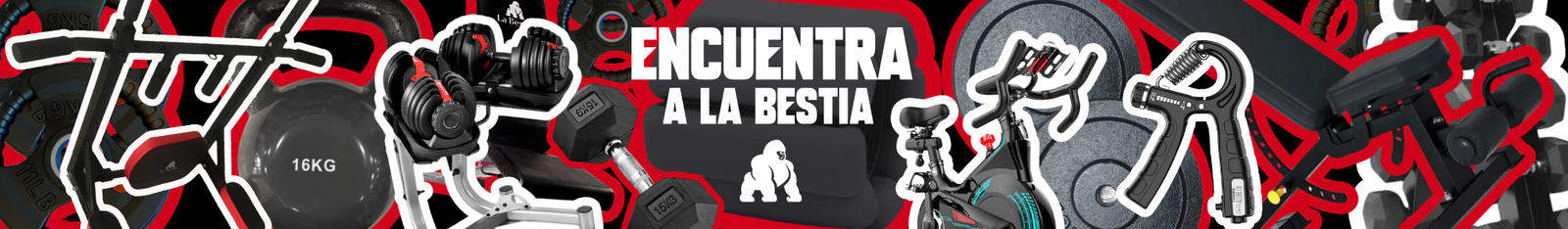 encuentra encuentra
