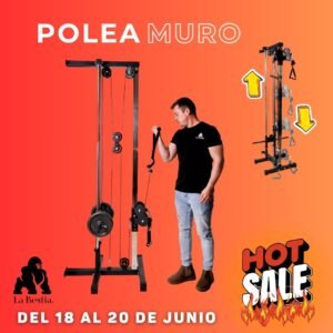 Polea de Muro Regulable