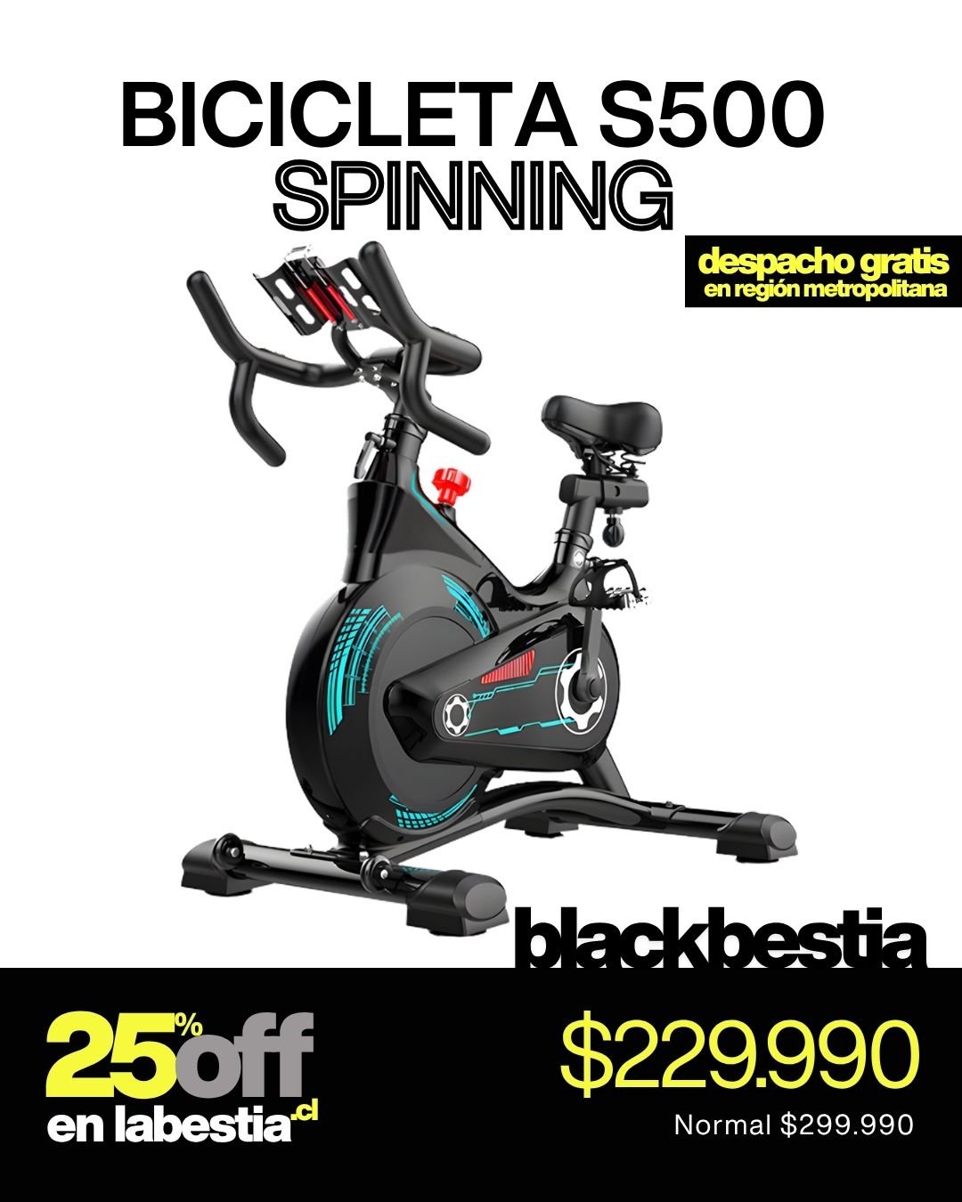 Bicicleta Spinning S500